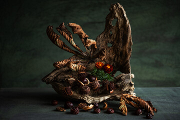 exquisite, original still life, phyto design, flower arrangement, ikebana, minimalism, chestnut...