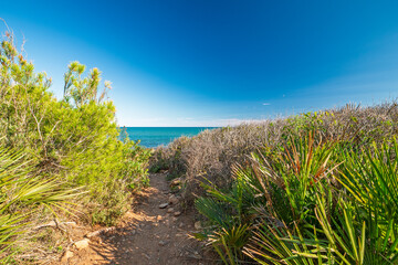 Blick auf das Mittelmeer im Naturpark Serra d'Irta bei Alcossebre, Provinz Castellón, Autonome Gemeinschaft Valencia, Spanien