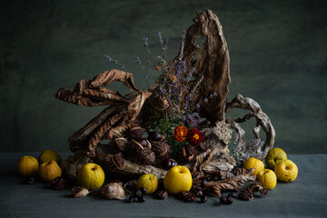 exquisite, original still life, design, flower arrangement, ikebana, dried wild flowers, chestnut fruits, fruits, chestnut leaves, tree stump, flowers, orange, brown, yellow, cherished shades.