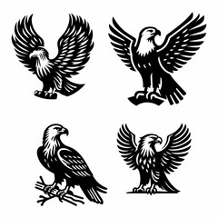 Genus Aquila silhouette vector icon white background.