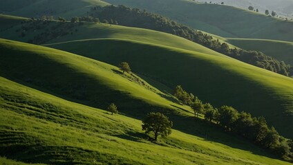 Obraz premium Green hills and trees.