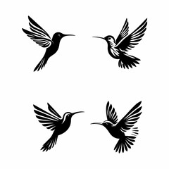 humming bird vector silhouette white background.