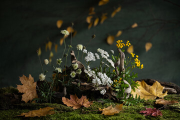 still life, exquisite, original, design, flower arrangement, ikebana, golden autumn fruits, wild flowers, tree roots, nuts, pumpkins, corn.
