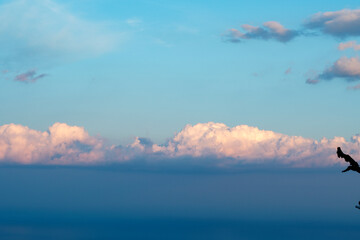 Summer closeup sunset sea sky landscape. Colorful ocean beach sunrise. Beautiful beach reflections calm waves, soft sandy beach. Perfect tropical coast horizon scenic coast view. Mediterranean nature