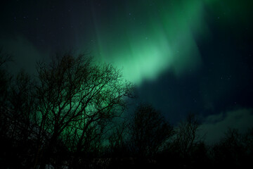 The Magic of the Northern Lights in Tromso, Norway