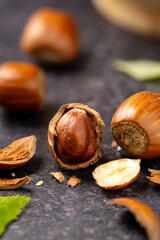 Hazelnuts on dark background