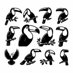 Toucans vector icon 10 set bundle birds white background.