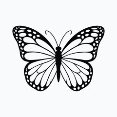 butterfly drawing art vector design