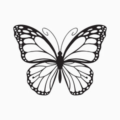 butterfly drawing art vector design