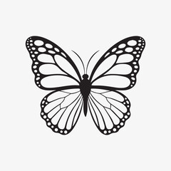butterfly drawing art vector design