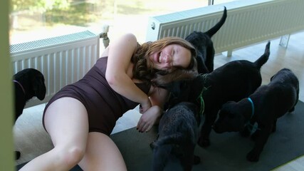 pet dog Labrador retriever many puppies cling to the girl's hair play with her run on her trample her girl laughs defending herself from funny little dog puppies