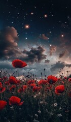 Obraz premium Starry Night Poppies