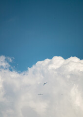 a serene sky featuring a vast expanse of bright blue, interspersed with fluffy white clouds. The...