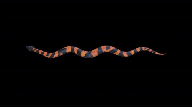 Dangerous Snake 3D Video Animation