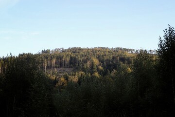 autumn forest in the morning in the Owl Mountains in lower Silesia