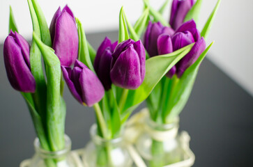 Violet tulips in glass bottle vase on a black table, white wall