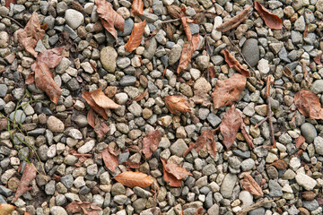 Fallen dried leaves on a surface of a scattering of crushed stones. Background image.