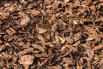 Natural Wood Mulch Texture. A detailed close-up of natural wood mulch, ideal for landscaping, gardening, or agricultural concepts.