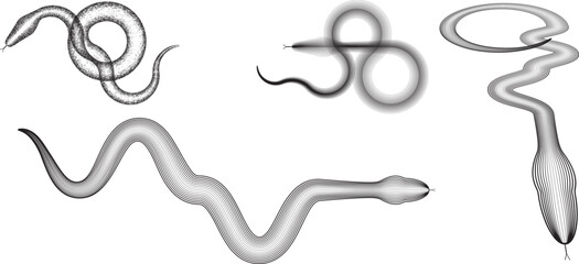 Chinese new year 2025 zodiac snake symbol collection .design elements . Year of the snake .World snake day logo set. Line art . Vector illustration