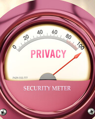 Privacy and Security Meter that is hitting a full scale, showing a very high level of privacy, overload of it, too much of it. Maximum value, off the charts.  ,3d illustration
