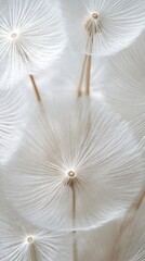 Delicate dandelion seeds create a soft, ethereal pattern in close-up view, AI