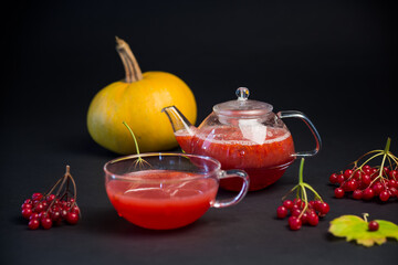 nutritious vitamin tea from viburnum berries, isolated on black background