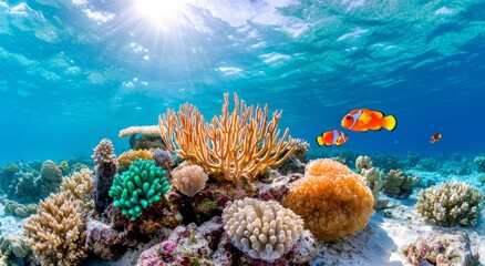 Obraz premium A stunning underwater coral reef teeming with exotic sea life, showcasing vibrant, tropical colors, embodying the concept of diving and biodiversity in HD.