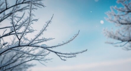 Obraz premium Frosty Branches Encircling a Blue Background.
