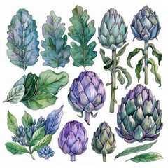 Artichoke Watercolor Elements with Leaves in Soft Pastel Colors – Perfect for Organic, Culinary, and Artistic Projects.