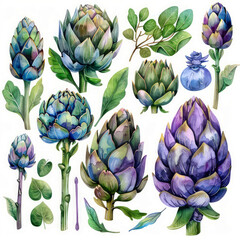 Botanical Watercolor Set Featuring Artichokes and Leaves – Elegant Pastel Style for Digital Art and Packaging.