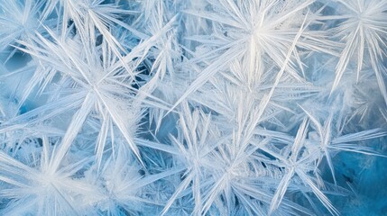 Intricate crystalline frost patterns in frosty white and icy blue form sharp, star-like webs, capturing the elegance and brilliance of frozen light in an arctic, wintry void.