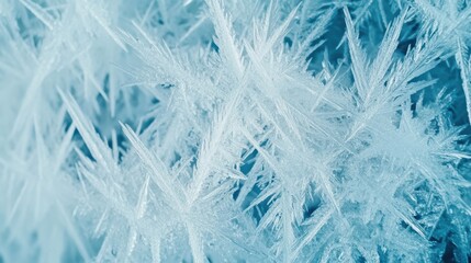 Intricate crystalline frost patterns in frosty white and icy blue form sharp, star-like webs, capturing the elegance and brilliance of frozen light in an arctic, wintry void.