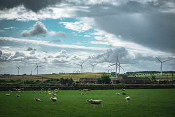 Wind turbines in a green fields of Yorkshire on a cloudy, moody day, UK