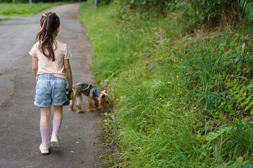 A cute little girl with dreadlocks is walking with a dog on a leash in the summer. The concept of a cheerful active carefree child