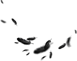 Black Feathers in the air Photo Overlay Clipart