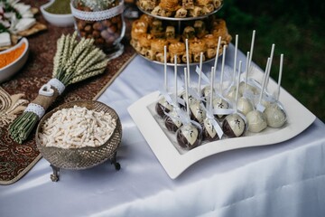 Elegant Cake Pops for a Special Occasion