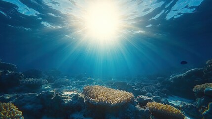 Naklejka premium Sunbeams illuminate vibrant underwater coral reef.
