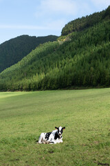 Islas portuguesas de las A&ccedil;ores