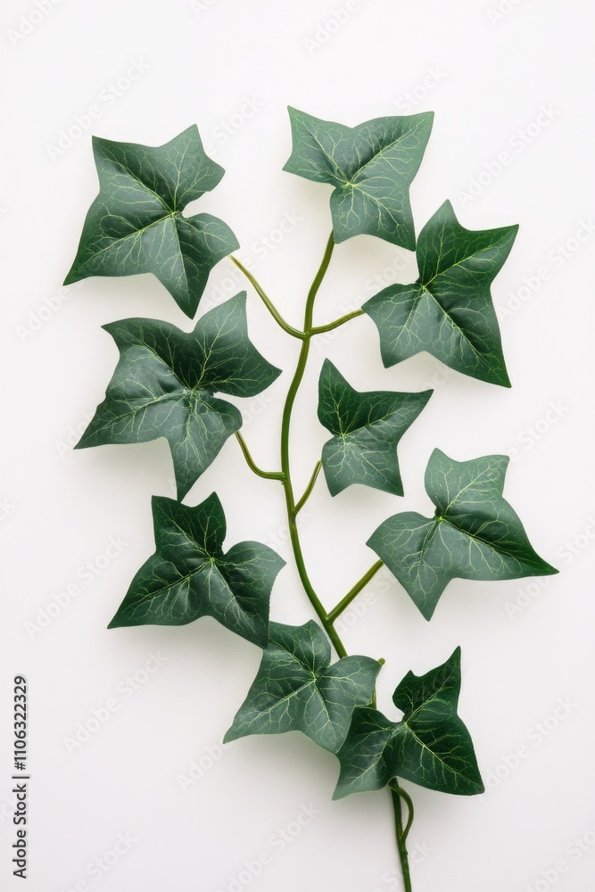 Poster A single green leaf sits on a white surface, ready for use in various applications
