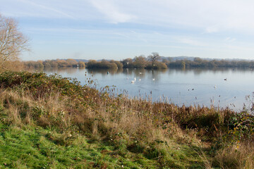 Still water nature reserve lake