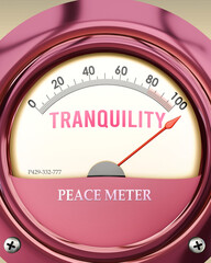 Tranquility and Peace Meter that is hitting a full scale, showing a very high level of tranquility, overload of it, too much of it. Maximum value, off the charts.  ,3d illustration