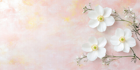 Elegant white cosmos flowers on pink background for romantic and festive occasions, ideal for valentines day, weddings, invitations, and nature-themed designs