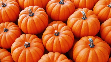 Obraz premium Seamless pumpkin background in Fall for holiday seasonal decoration.