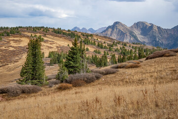 Meadow on the Engineer Trail, San Juan Range, Colorado