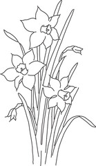 シンプルな水仙のイラスト