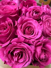 bouquet of pink roses