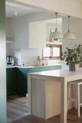 modern kitchen interior