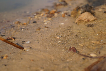 a serene riverbank scene, showing smooth pebbles and soft earth alongside shimmering water, with gentle sunlight casting a warm glow over the natural landscape.