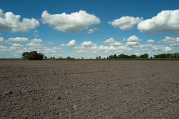Fertilizer soil for growing plants. Mud on field. Agricultural industry. Soil for growing plants....