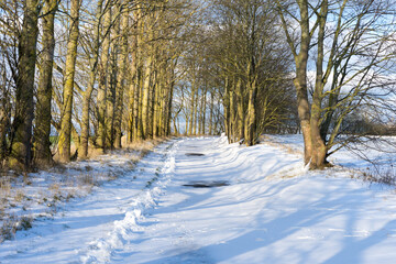 Wanderweg im verschneiten Winter Mecklenburg Vorpommern an einem sonnigen Tag